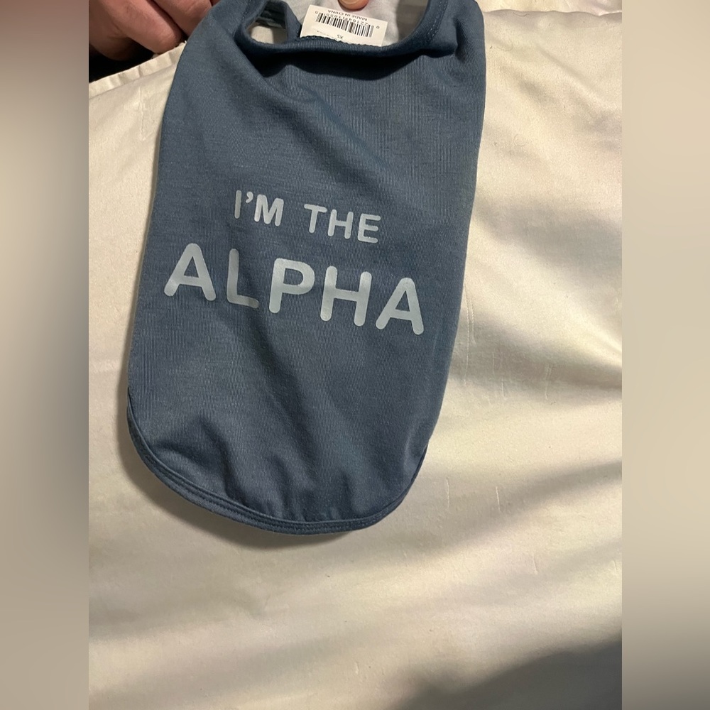 Dog shirt